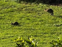 We all loved seeing our morning visitors each day