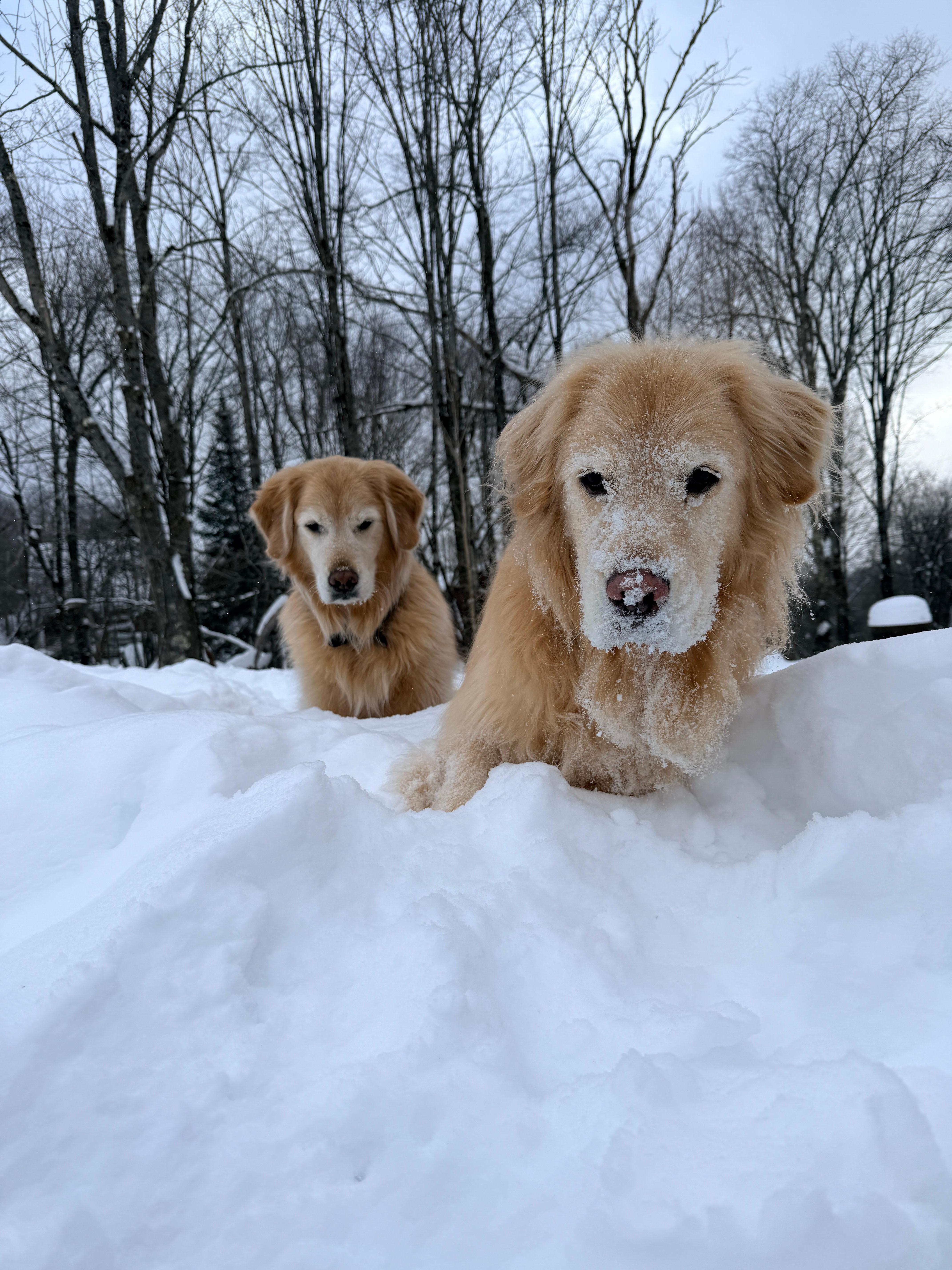 Everyone had a great time!