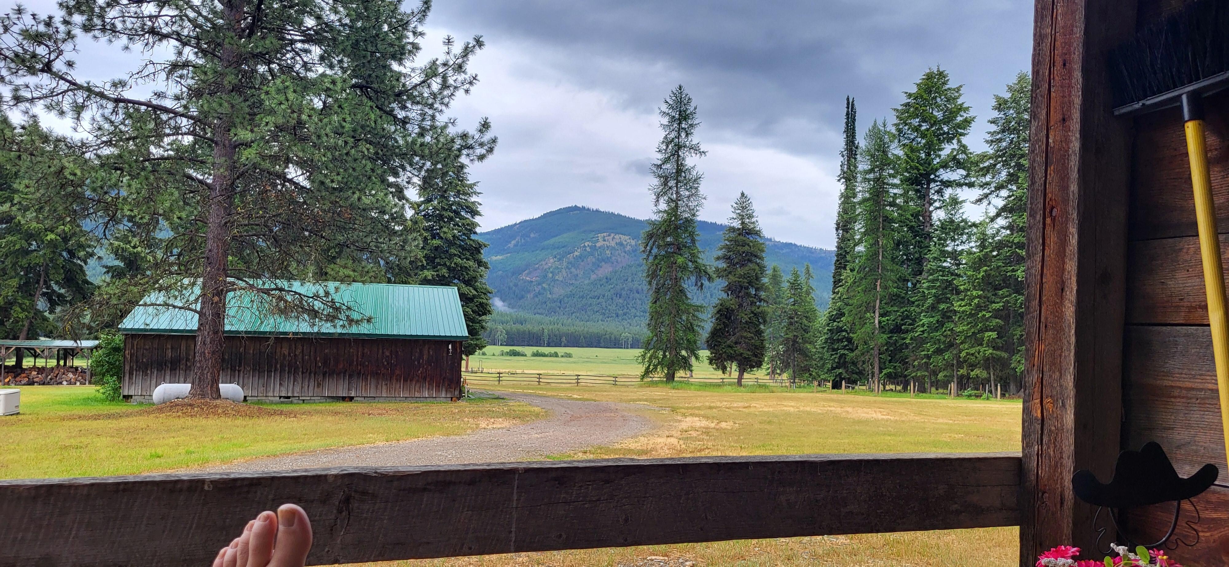 View from porch.
