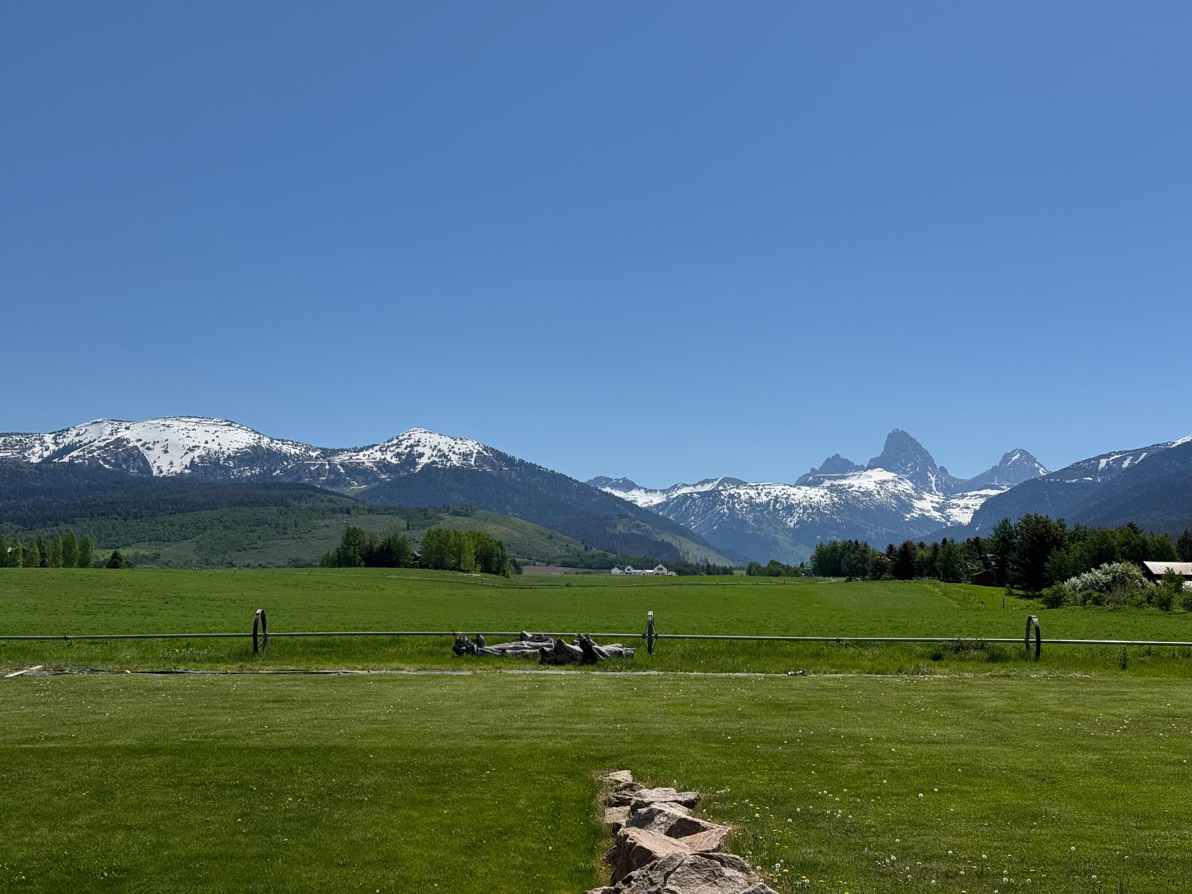 View of the Tetons from our back porch