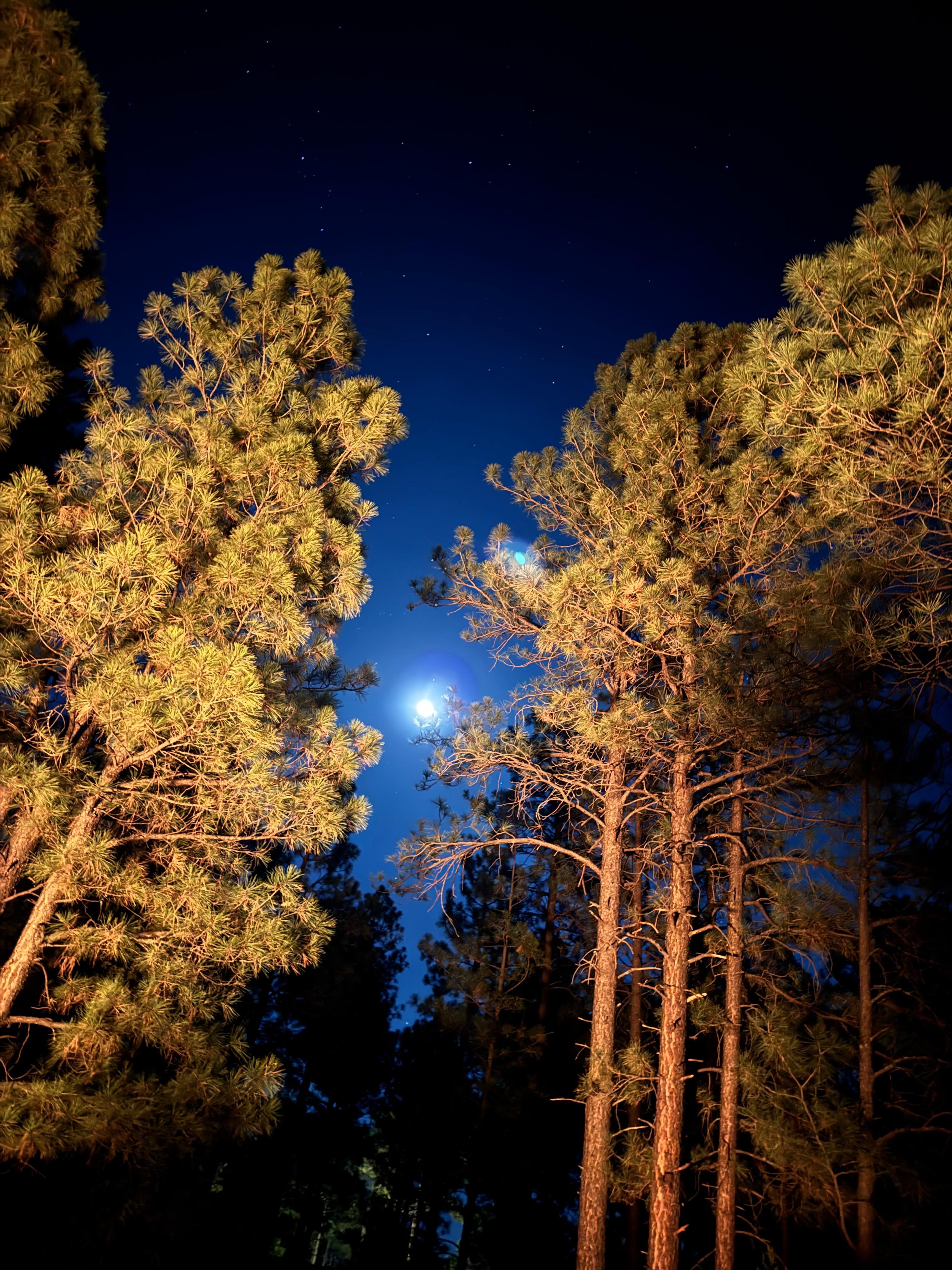 The stars are way more beautiful and easy to see! 