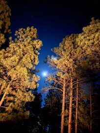 The stars are way more beautiful and easy to see!