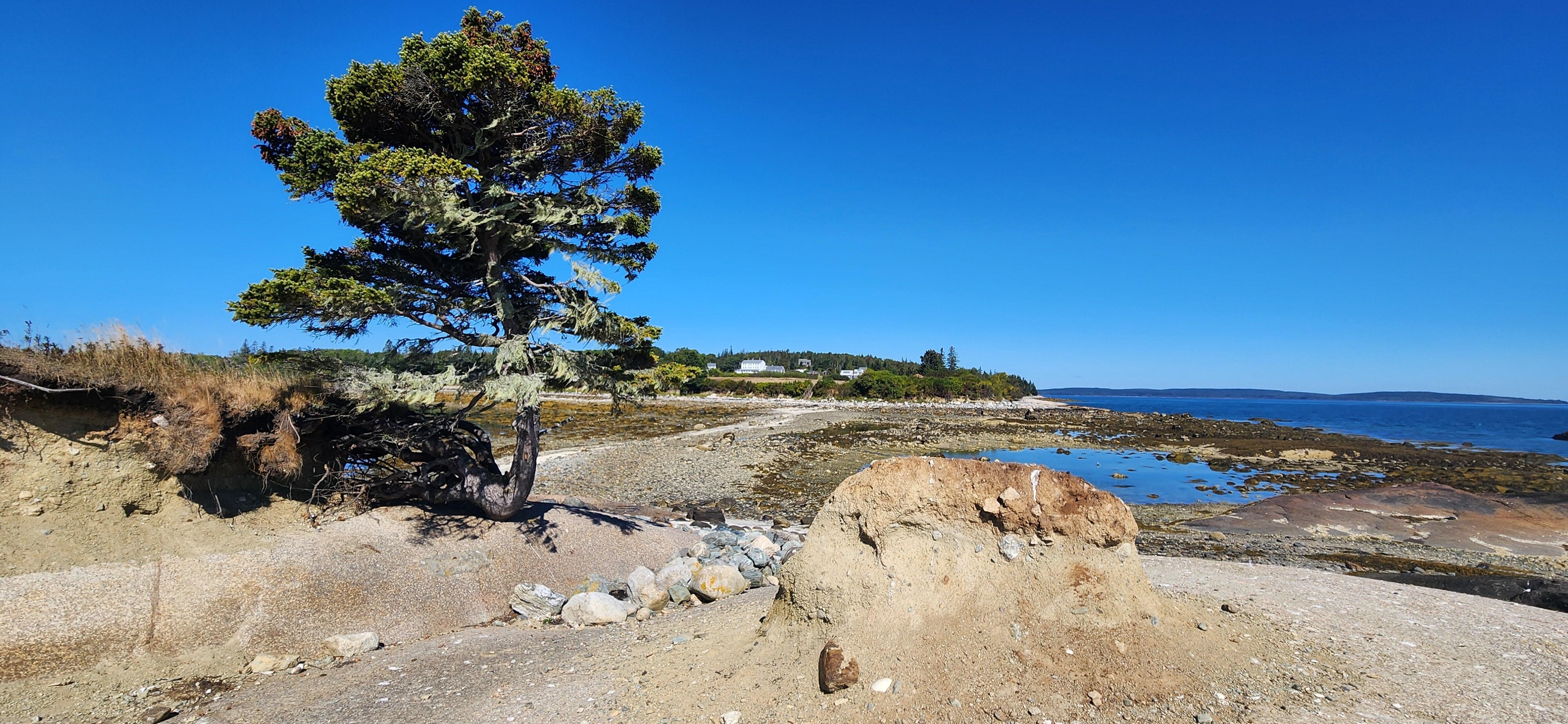 View back to Flye Point and the Lookout Inn from the little island accessible at low tide. The Boulders is to the right of the Inn. 