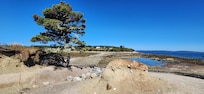View back to Flye Point and the Lookout Inn from the little island accessible at low tide. The Boulders is to the right of the Inn.