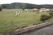 Vue de la salle à manger .