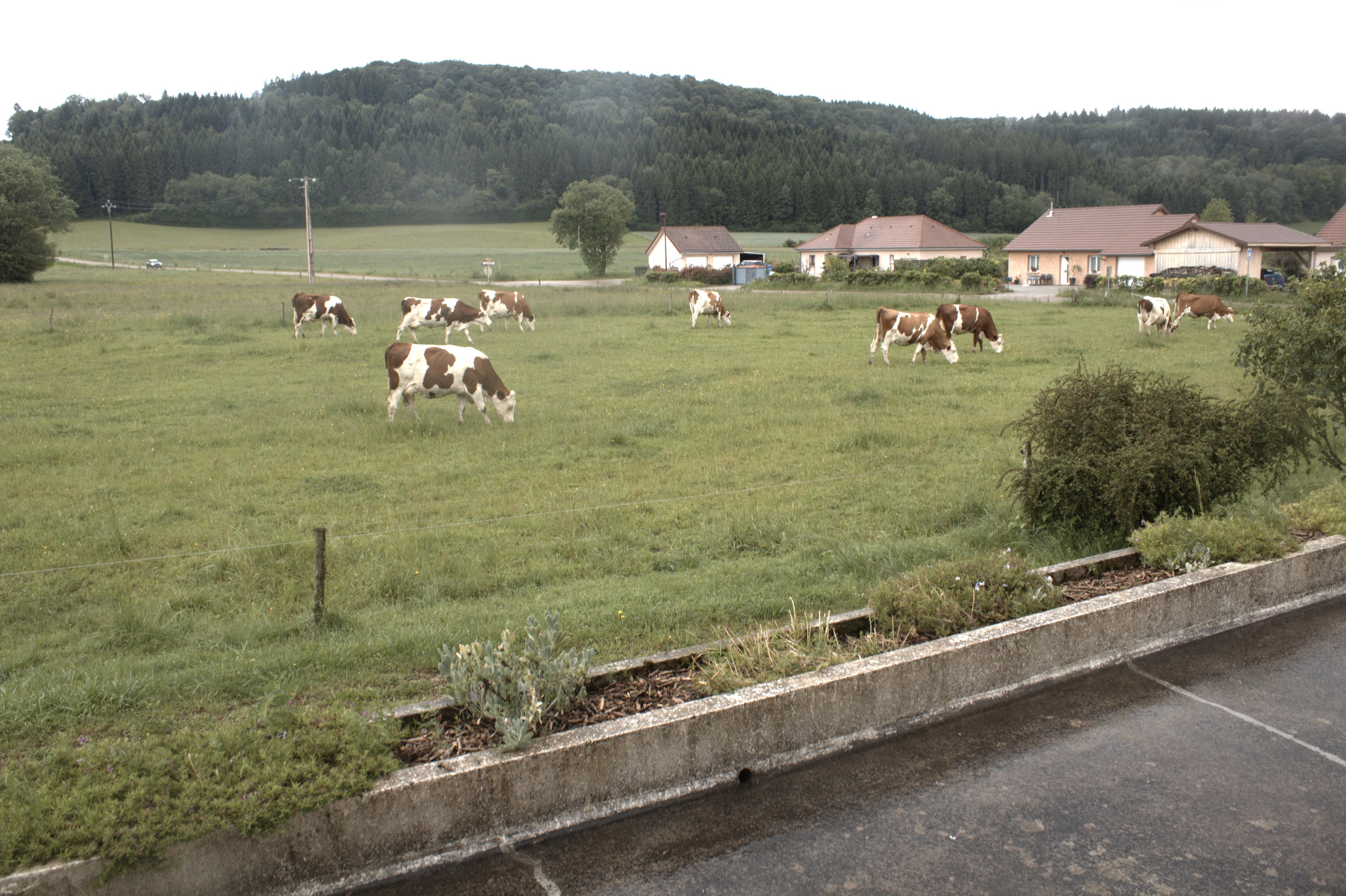 Vue de la salle à manger .