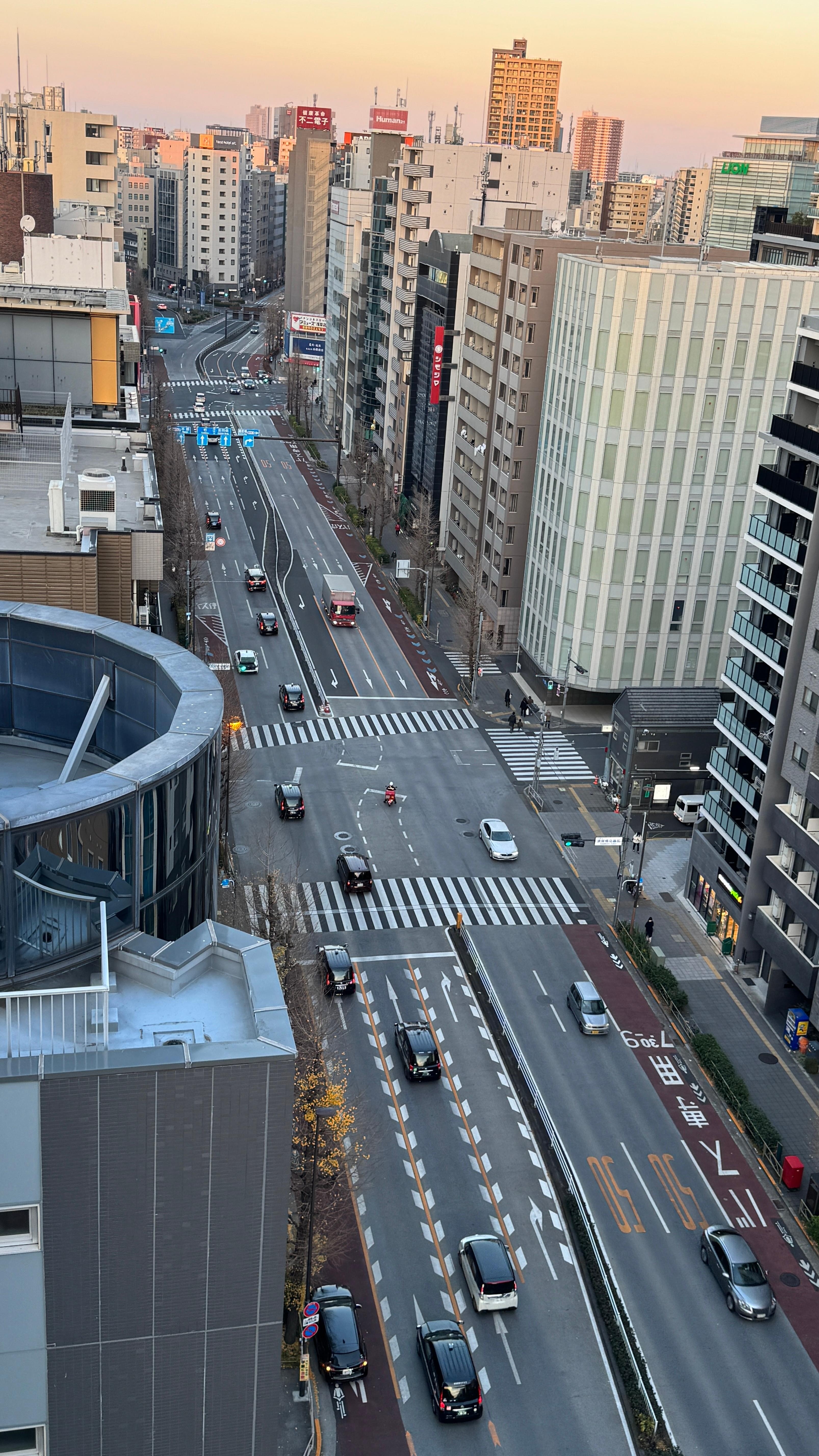 View from the roof top terrace. 