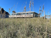 Sea oats were my favorite