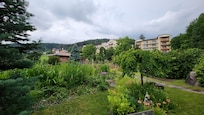 View from garden towards hotel