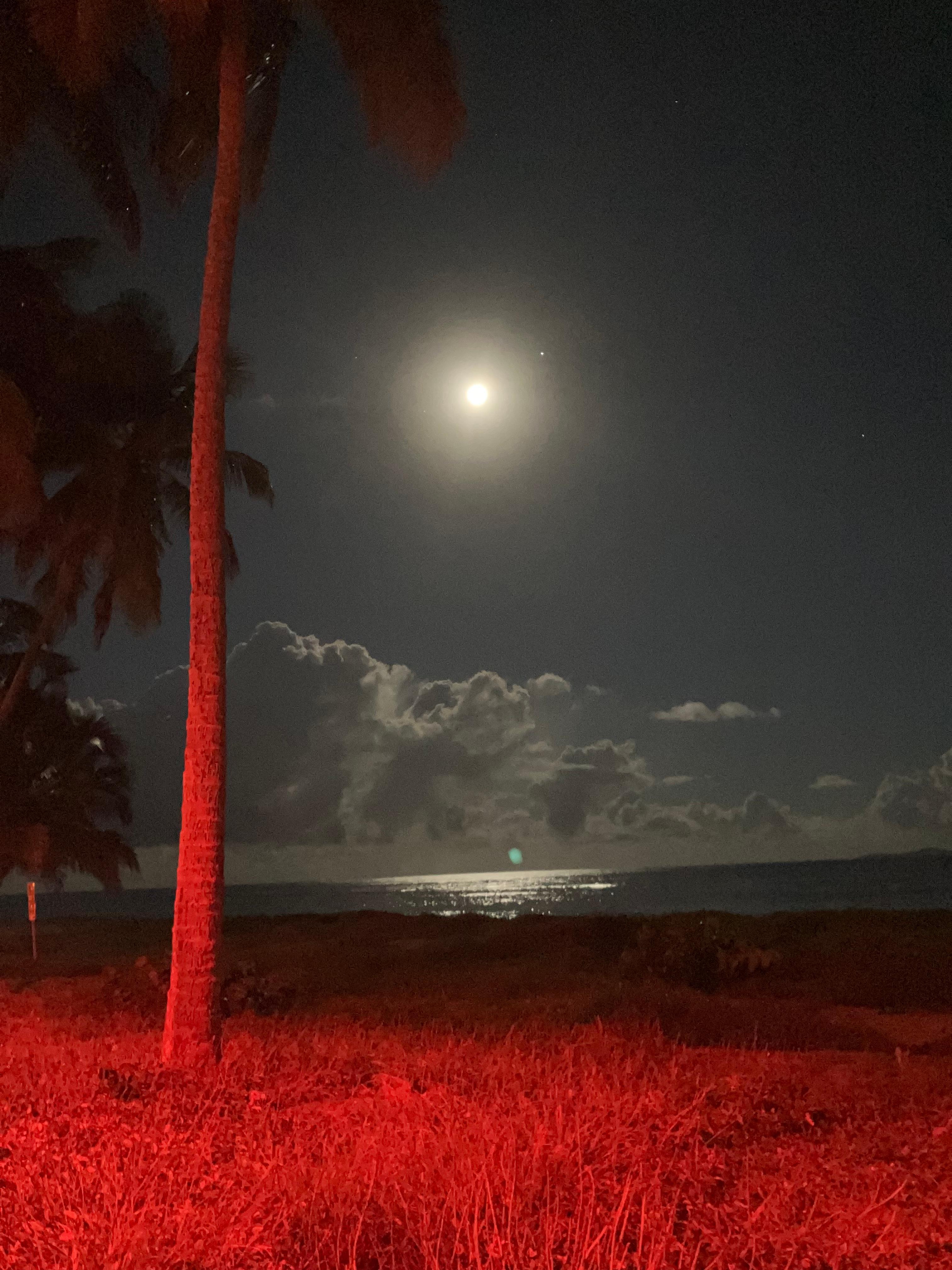 Wolf moon rising on the beach right in front of the property.