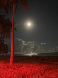 Wolf moon rising on the beach right in front of the property.