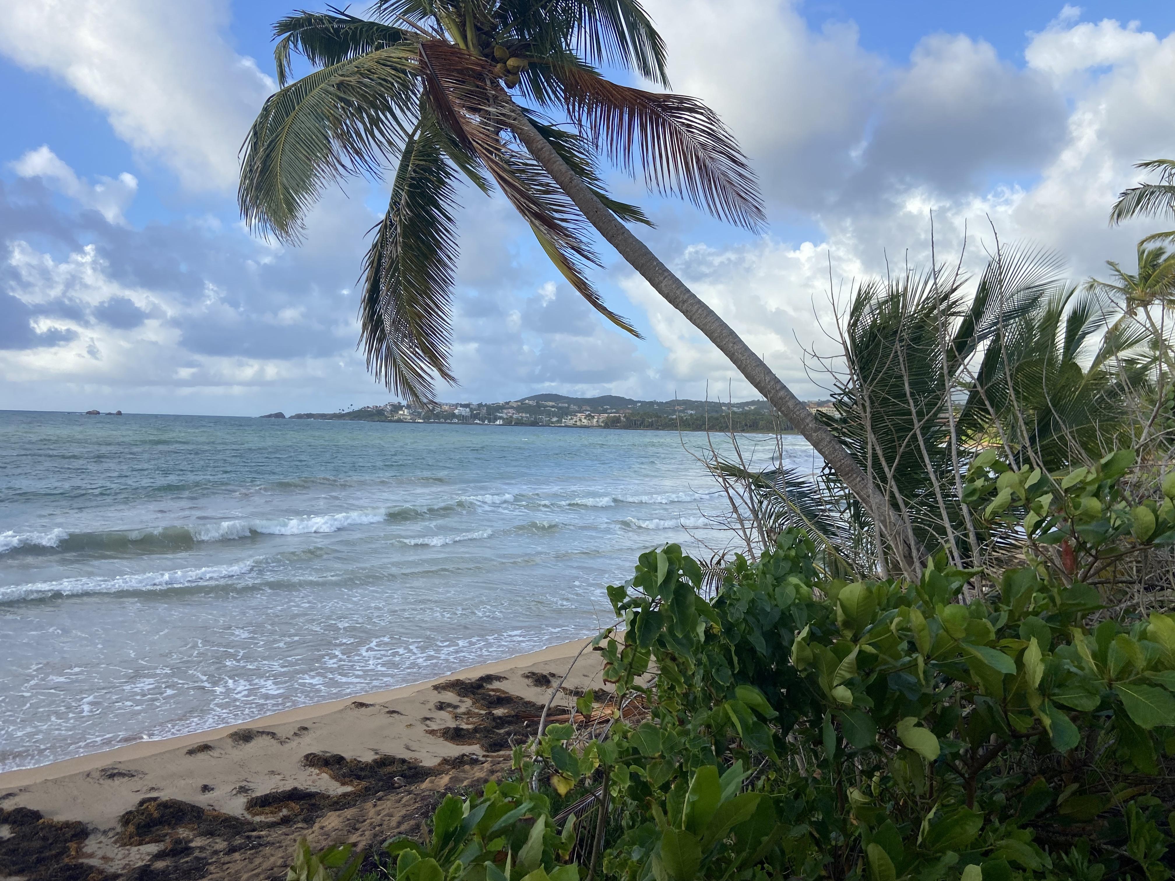 A short walk to the ocean for beautiful views. 