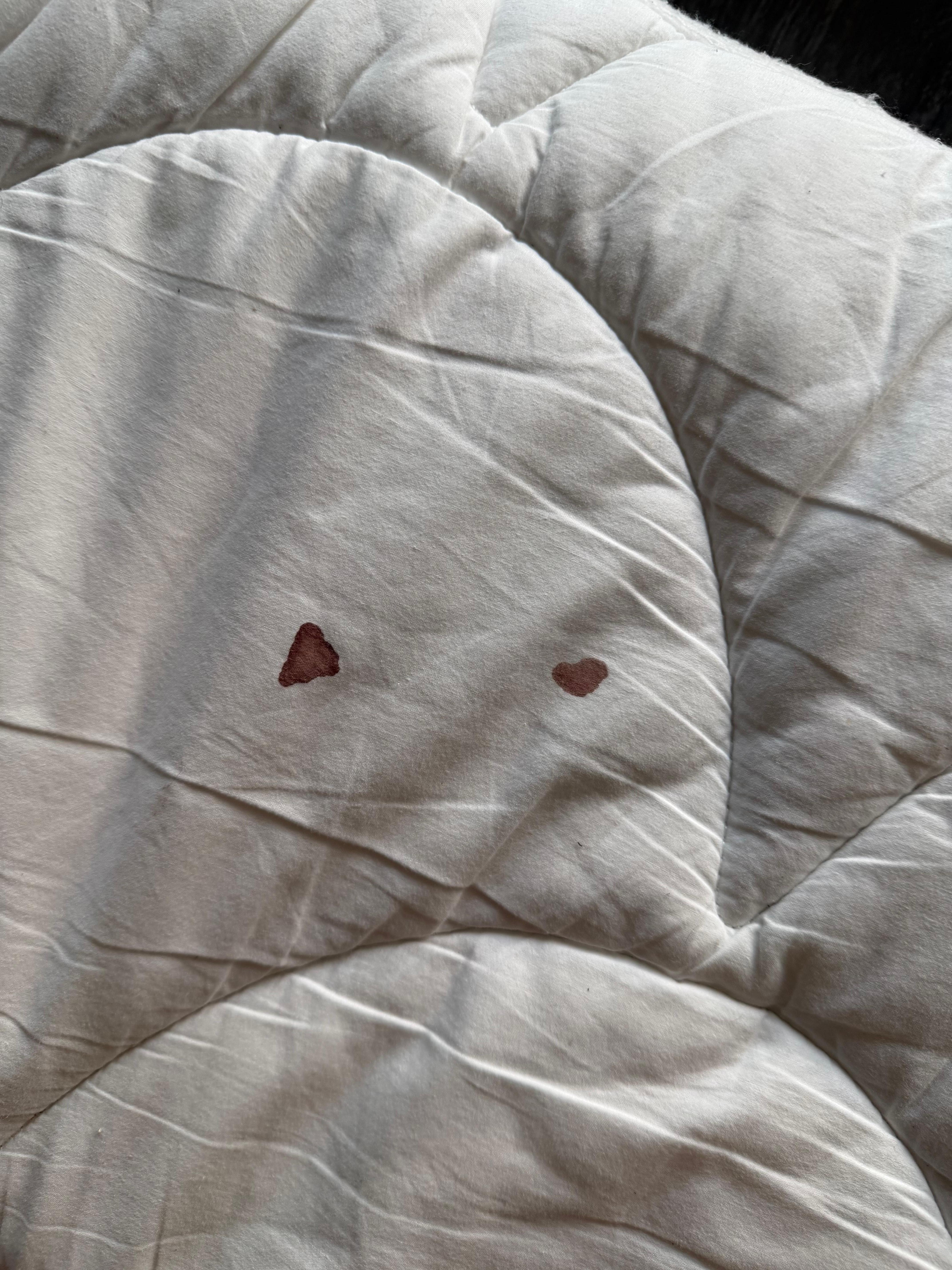 blood stains on mattress cover in 1st room very thin shitty mattress on a box spring