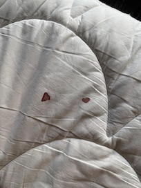 blood stains on mattress cover in 1st room very thin shitty mattress on a box spring