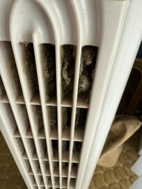 Filthy tall standing fan
