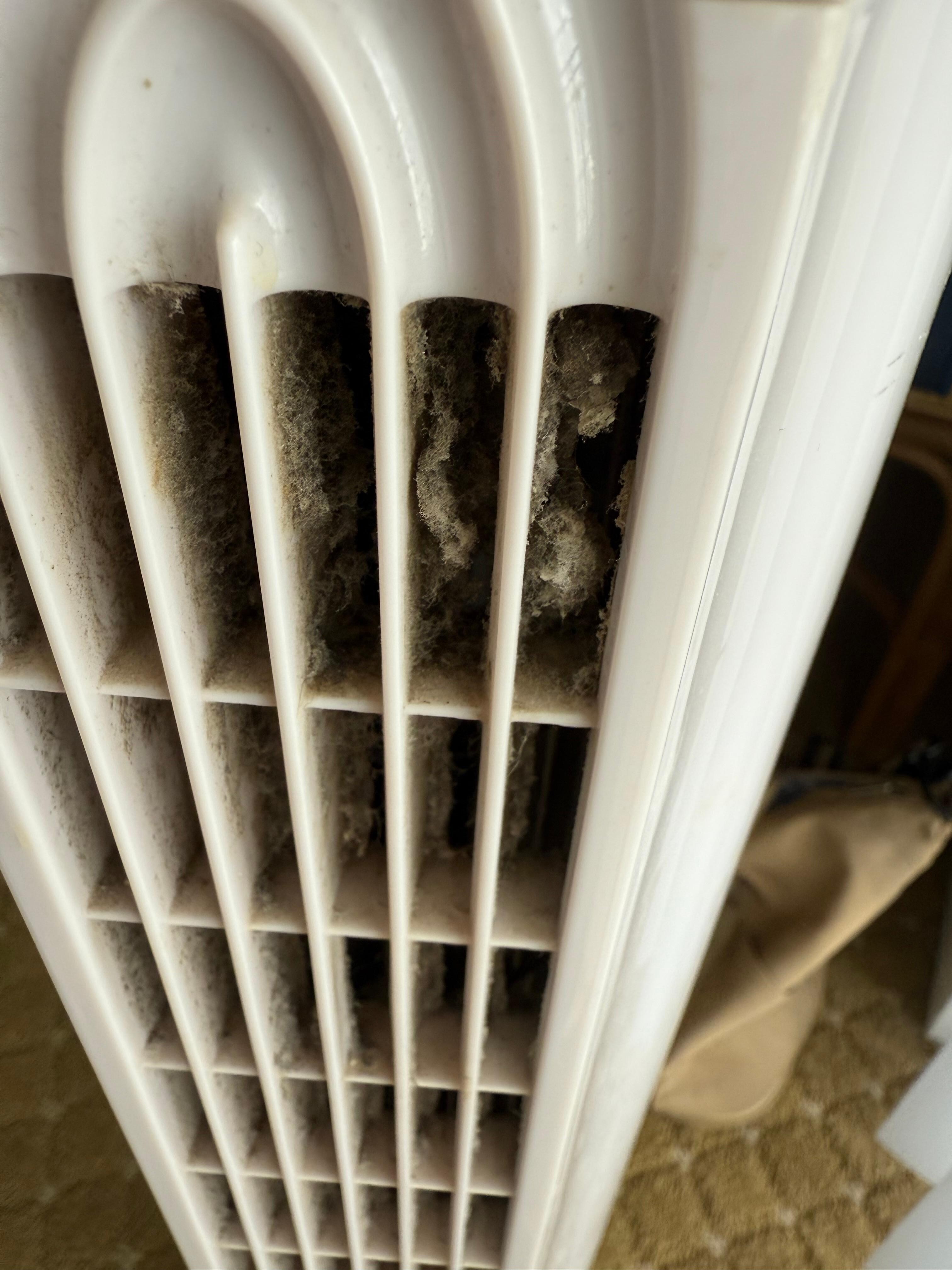 Filthy tall standing fan