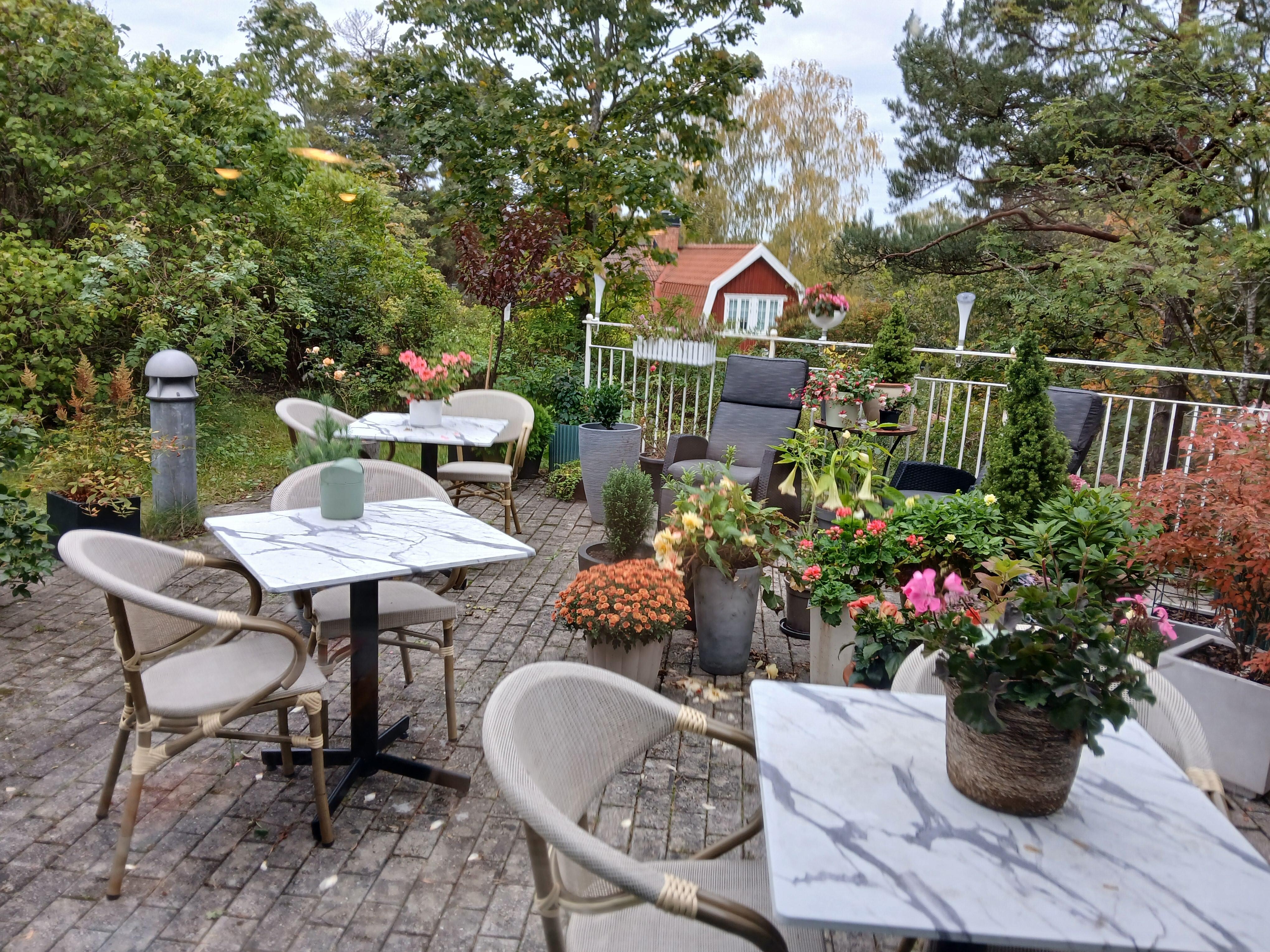 Utsikt från frukostbordet
