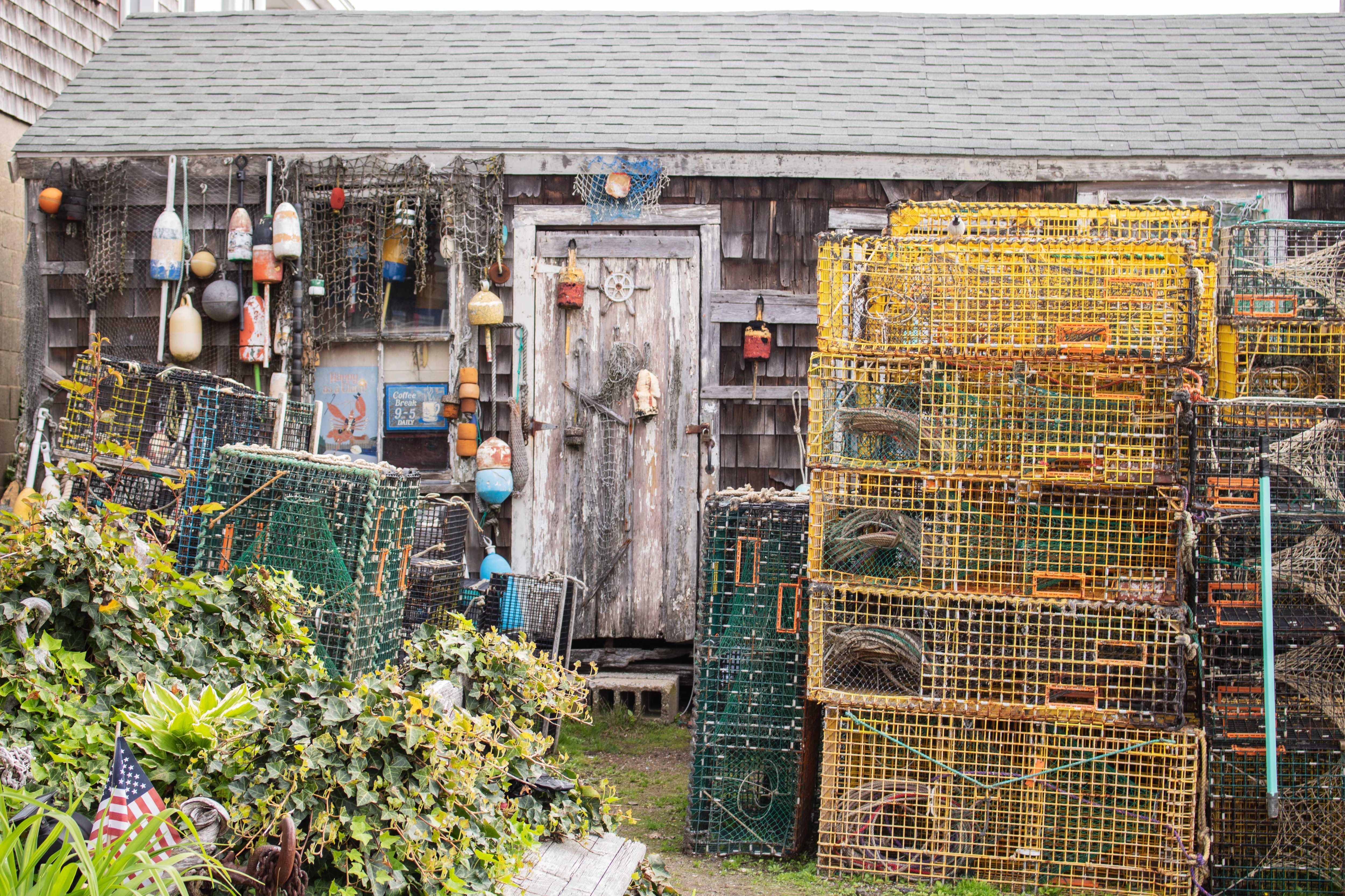 Lobstah Shack