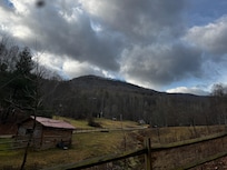 Donkey greeter at the community wntrance