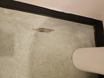 Bathroom floor were dirty and cracks everywhere.