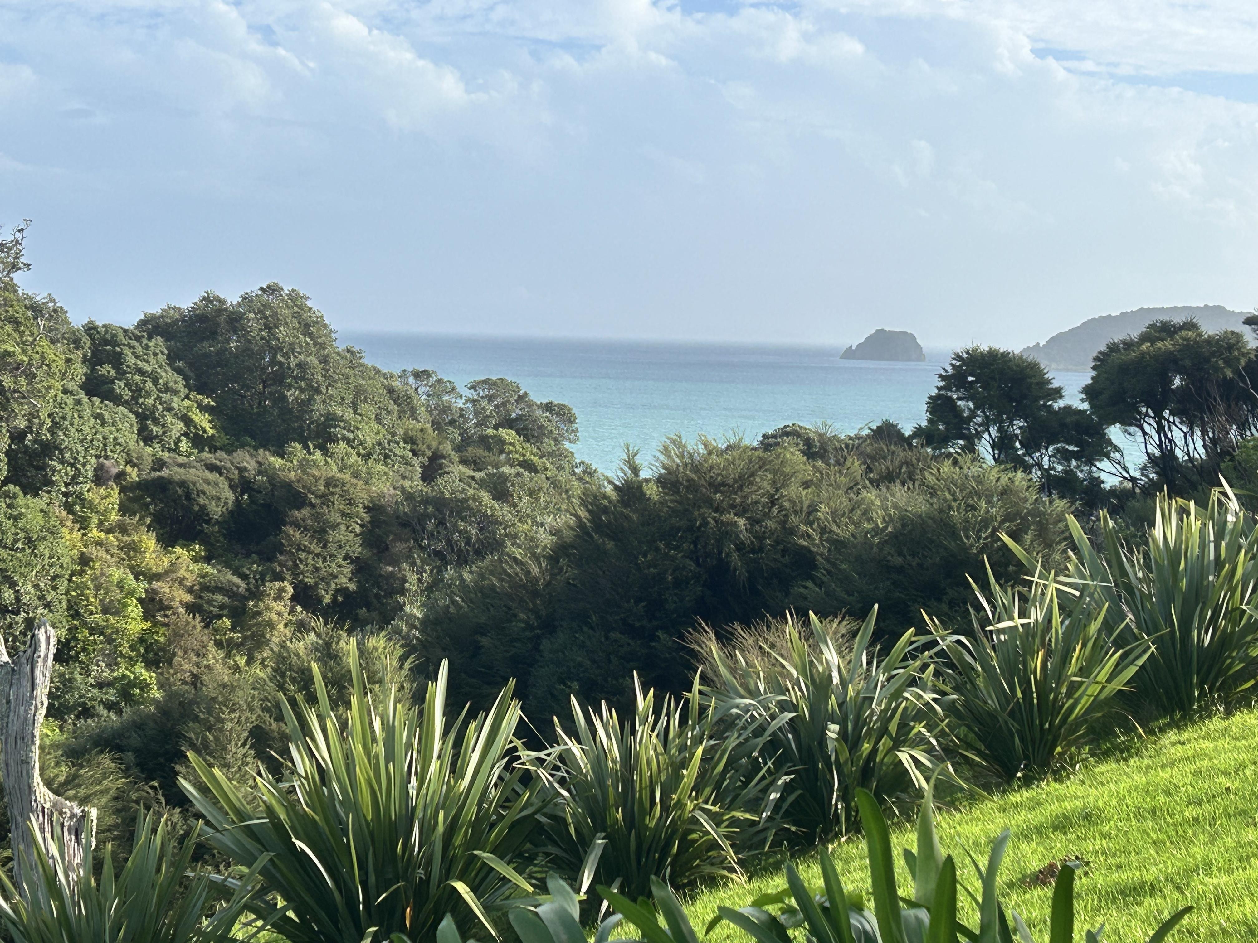 The view from the porch