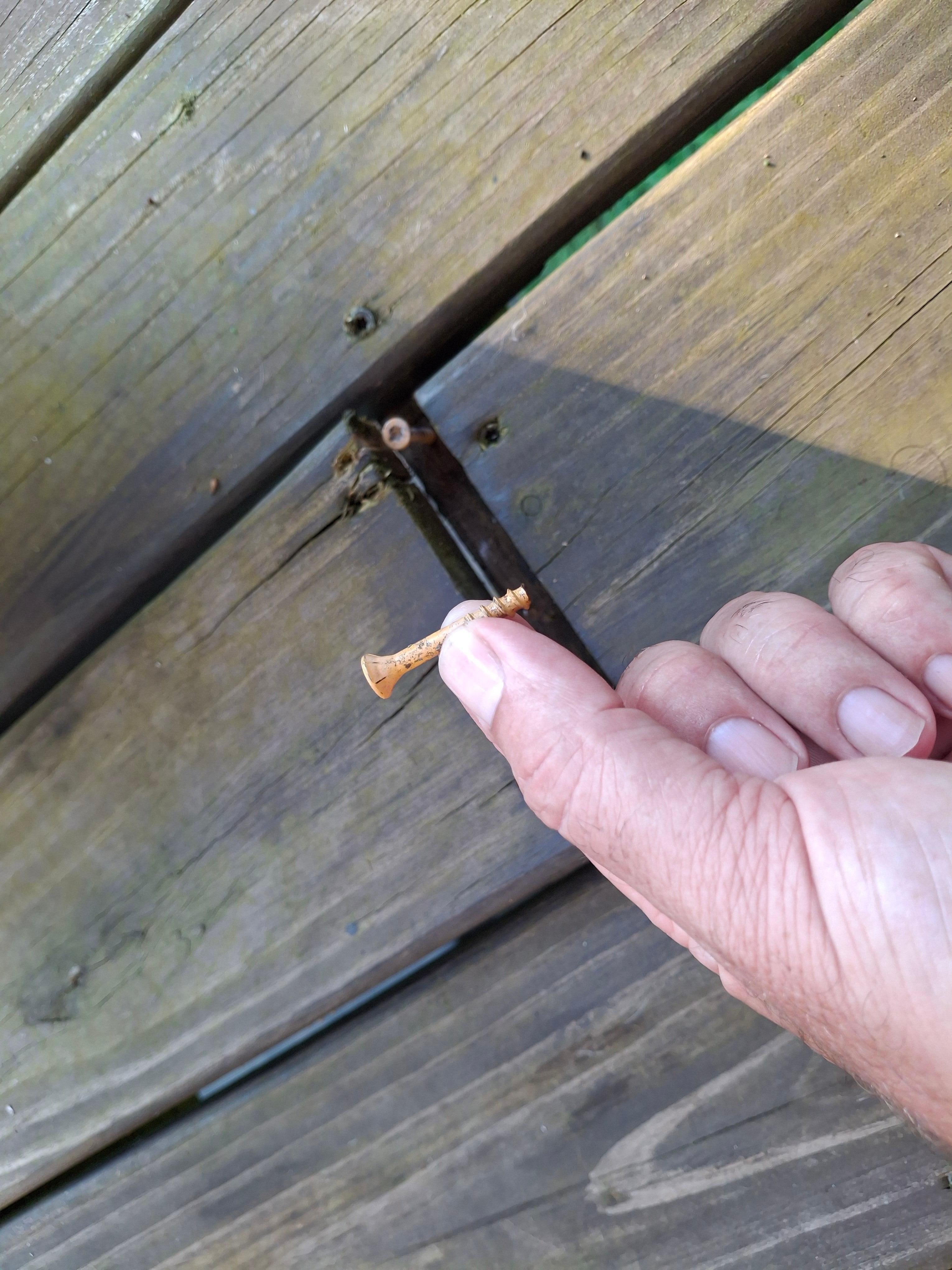 Deck screw that caught my daughter's foot and broke off.