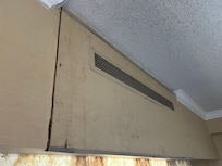Mold, mildew