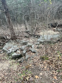 Trail behind the property.
