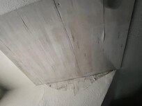 Plywood covering up, what….?