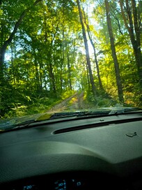 My last day going up the driveway from the cabin.