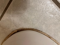 This was around the bottom of the toilet