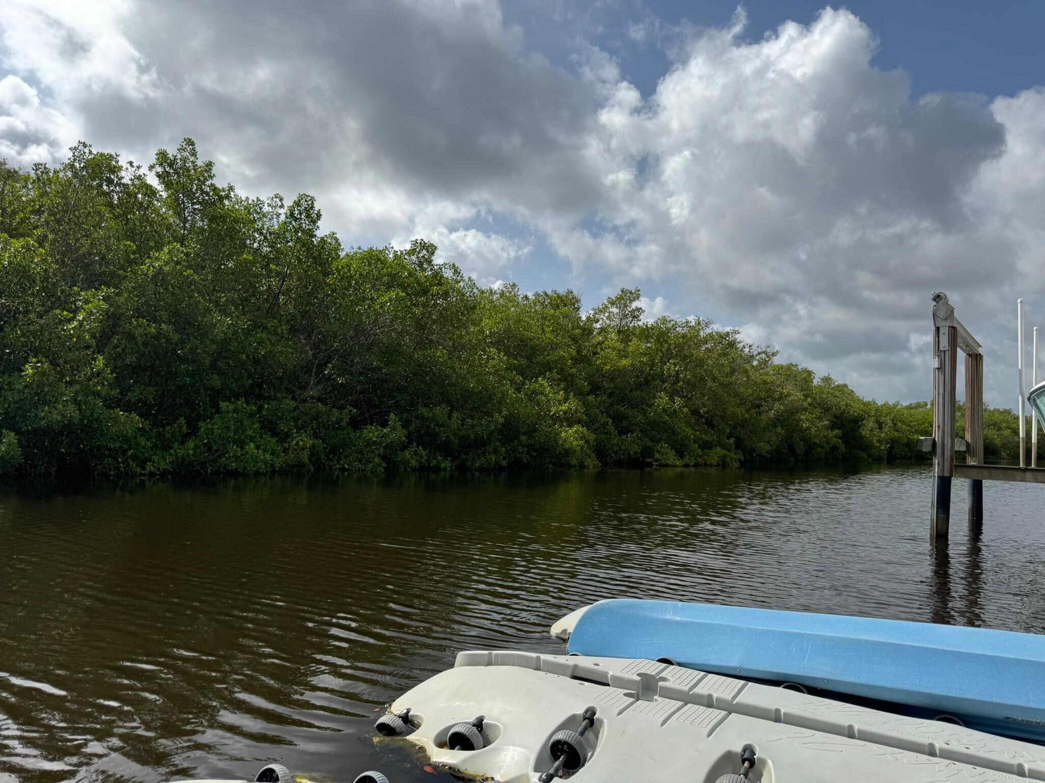 View from the dock