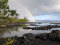 Steps from the cottage