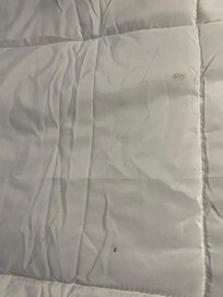 Blood stain blanket
