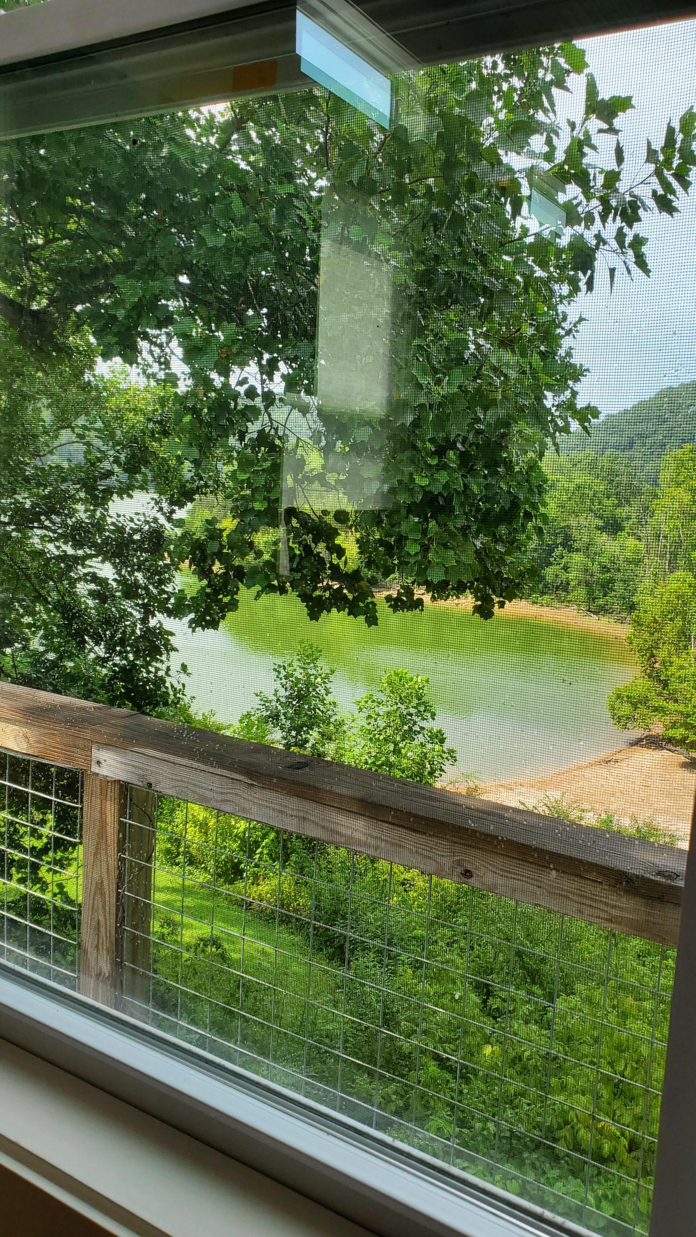 Picture of the lake from the house. 