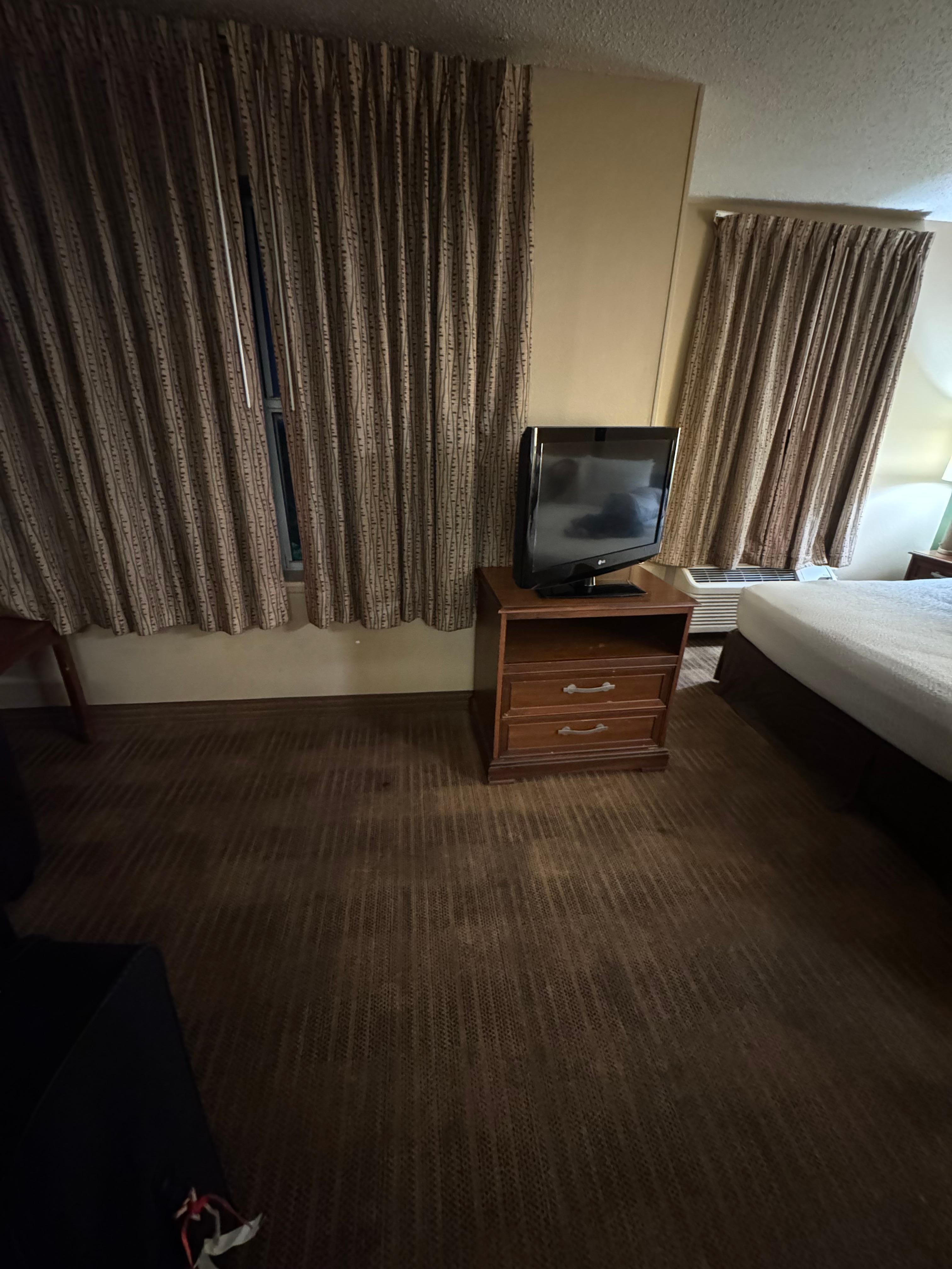 Cockroach right from the view of the door 