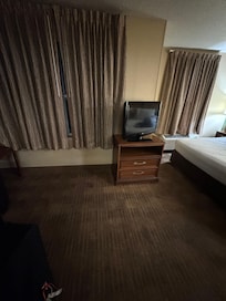 Cockroach right from the view of the door