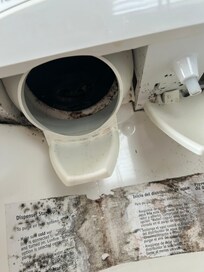 Refrigerator mold