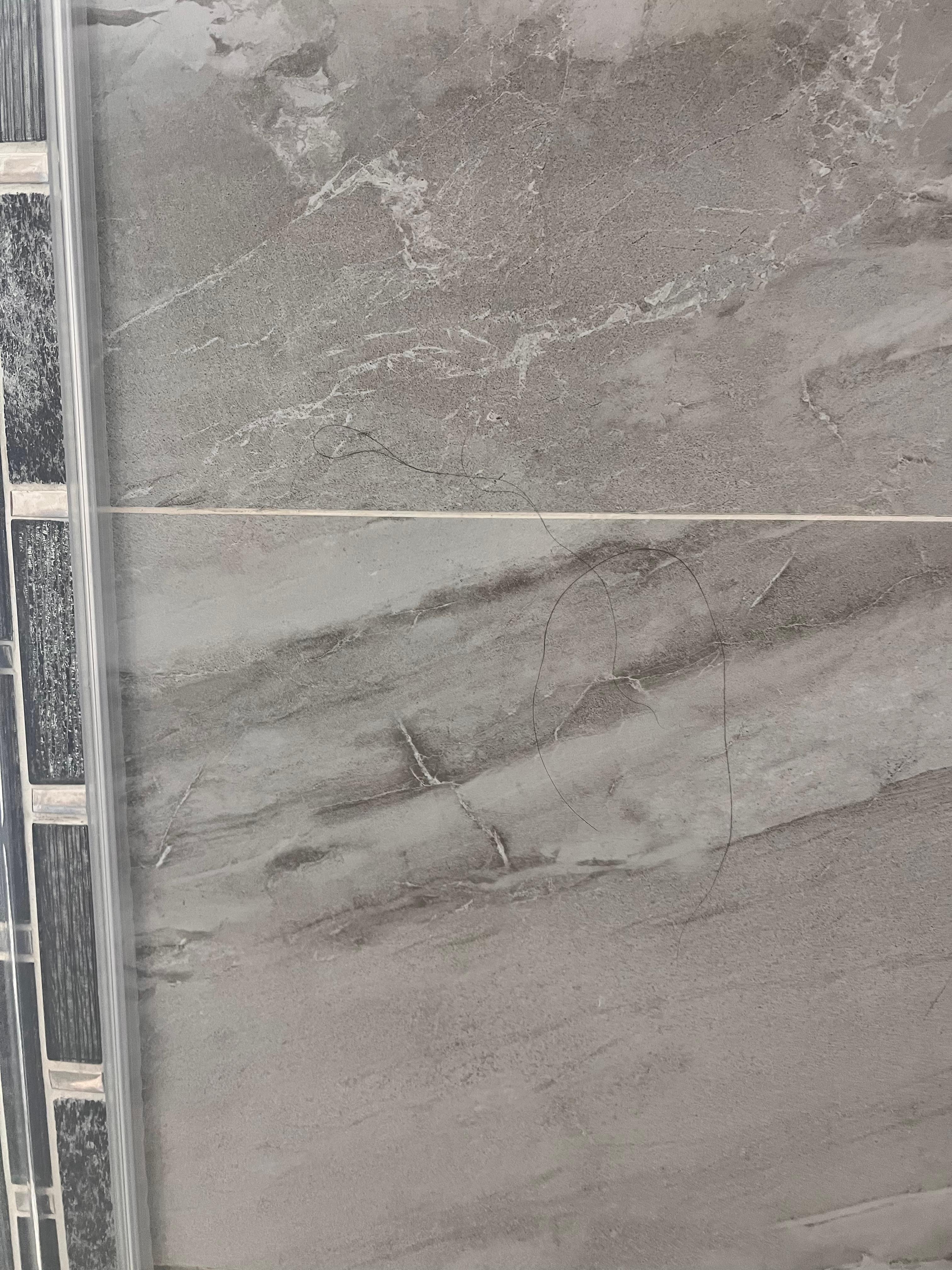 Hair on shower wall