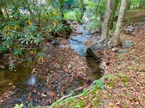 Private creek just a short walk from listing.