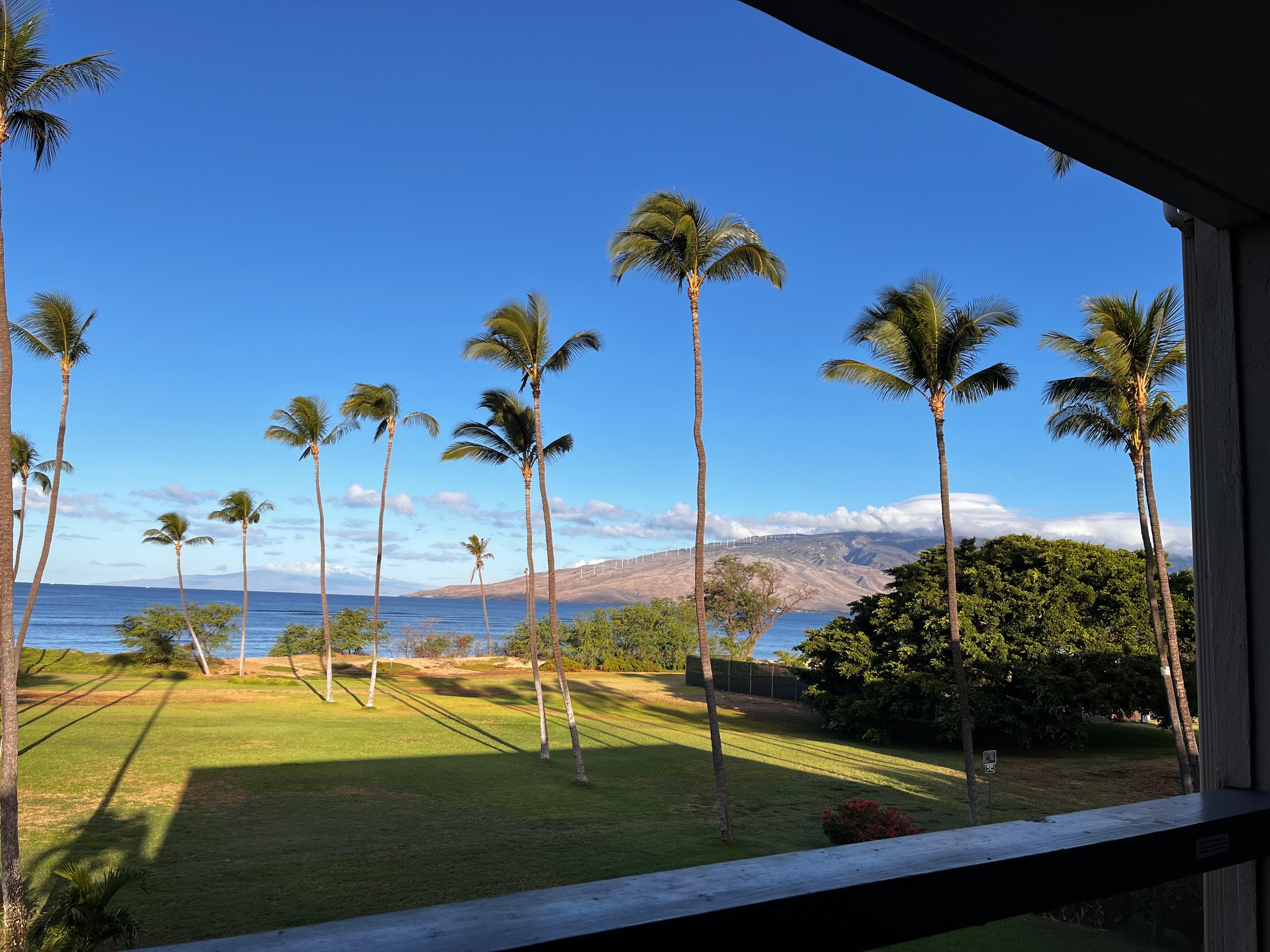 This is the view in the morning from the balcony.