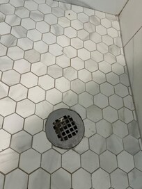 Giant hairball in master shower