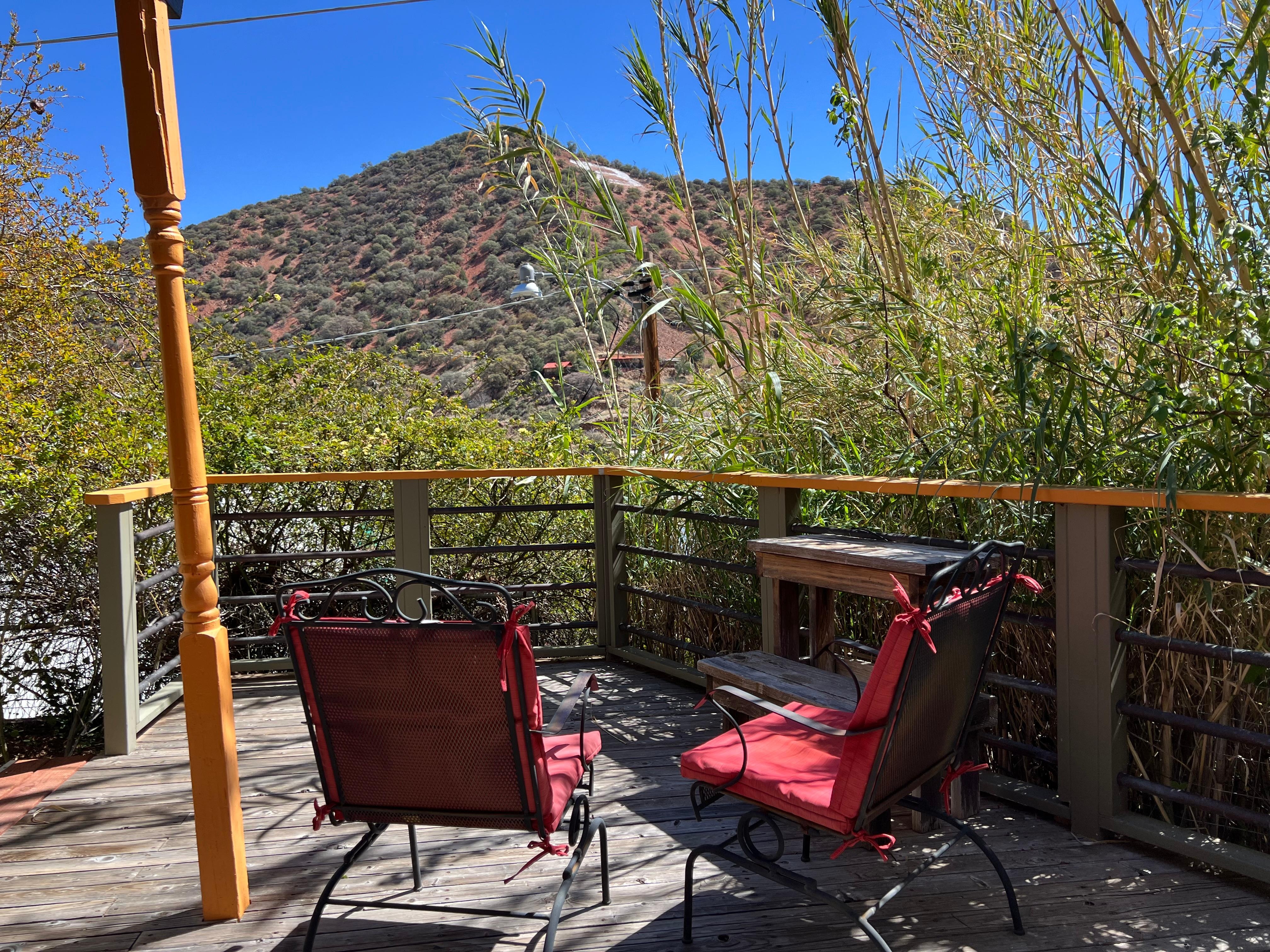 Day time view. Lots of birds at the feeders.