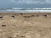 The beach is a very short walk and so beautiful!