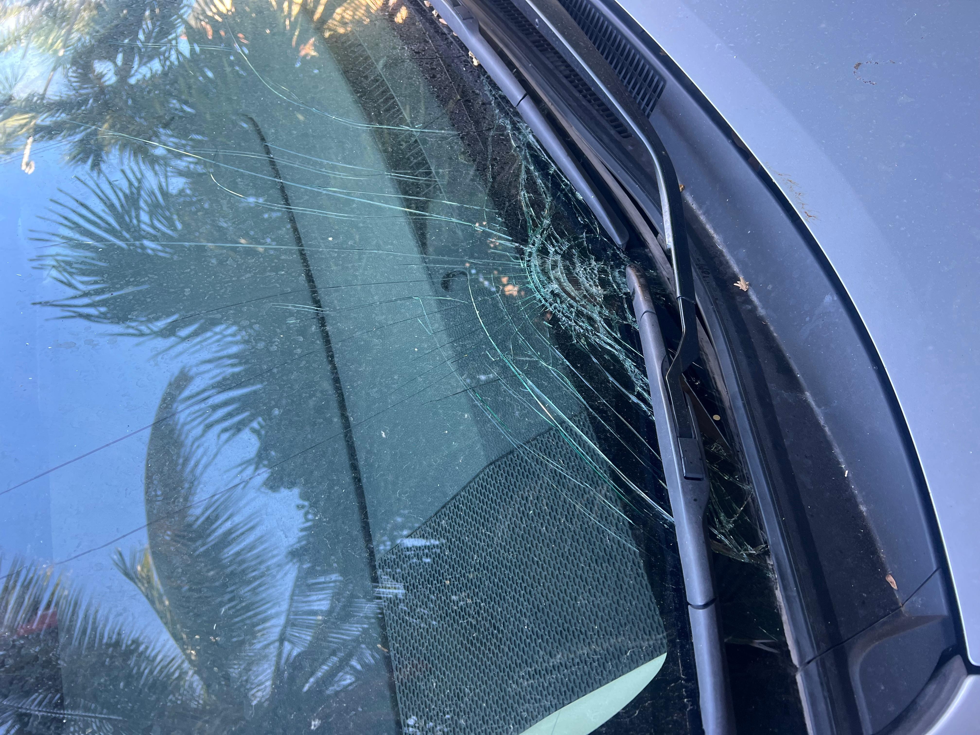 Broken windshield by coconut