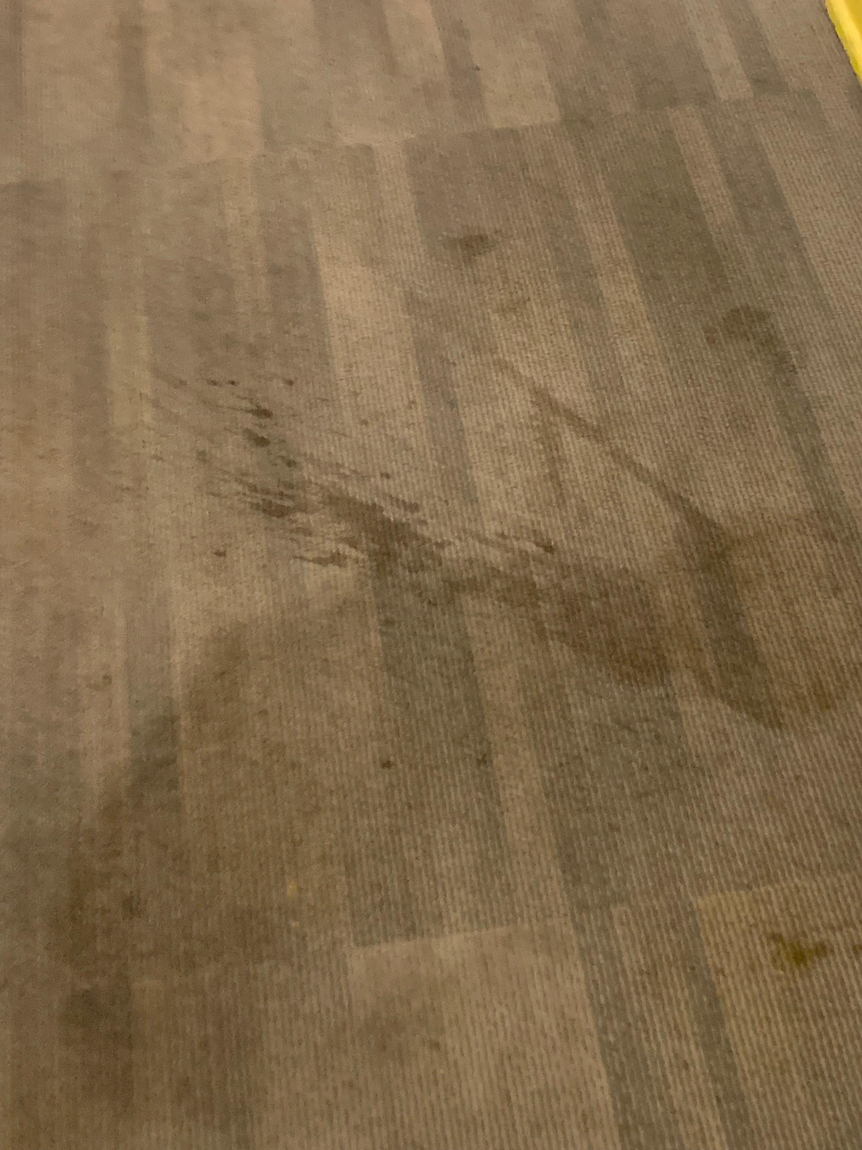 Stained carpet in hallway. Bathroom floor was also disgusting. 