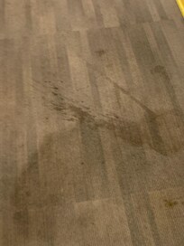 Stained carpet in hallway. Bathroom floor was also disgusting.