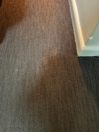 mysterious stains on carpet