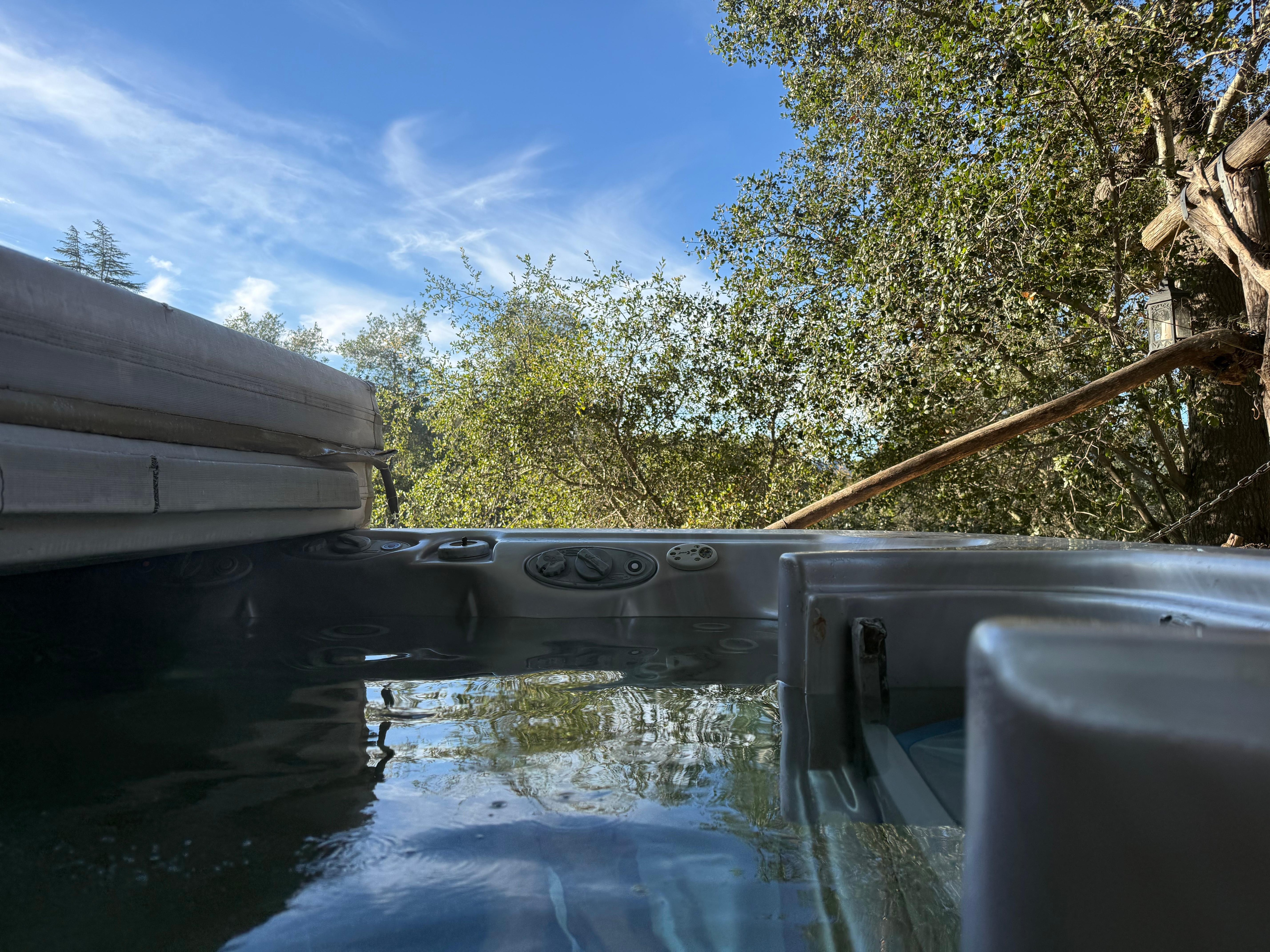 This is the view from the hot tub. Gorgeous mountain view and old growth trees all around. 