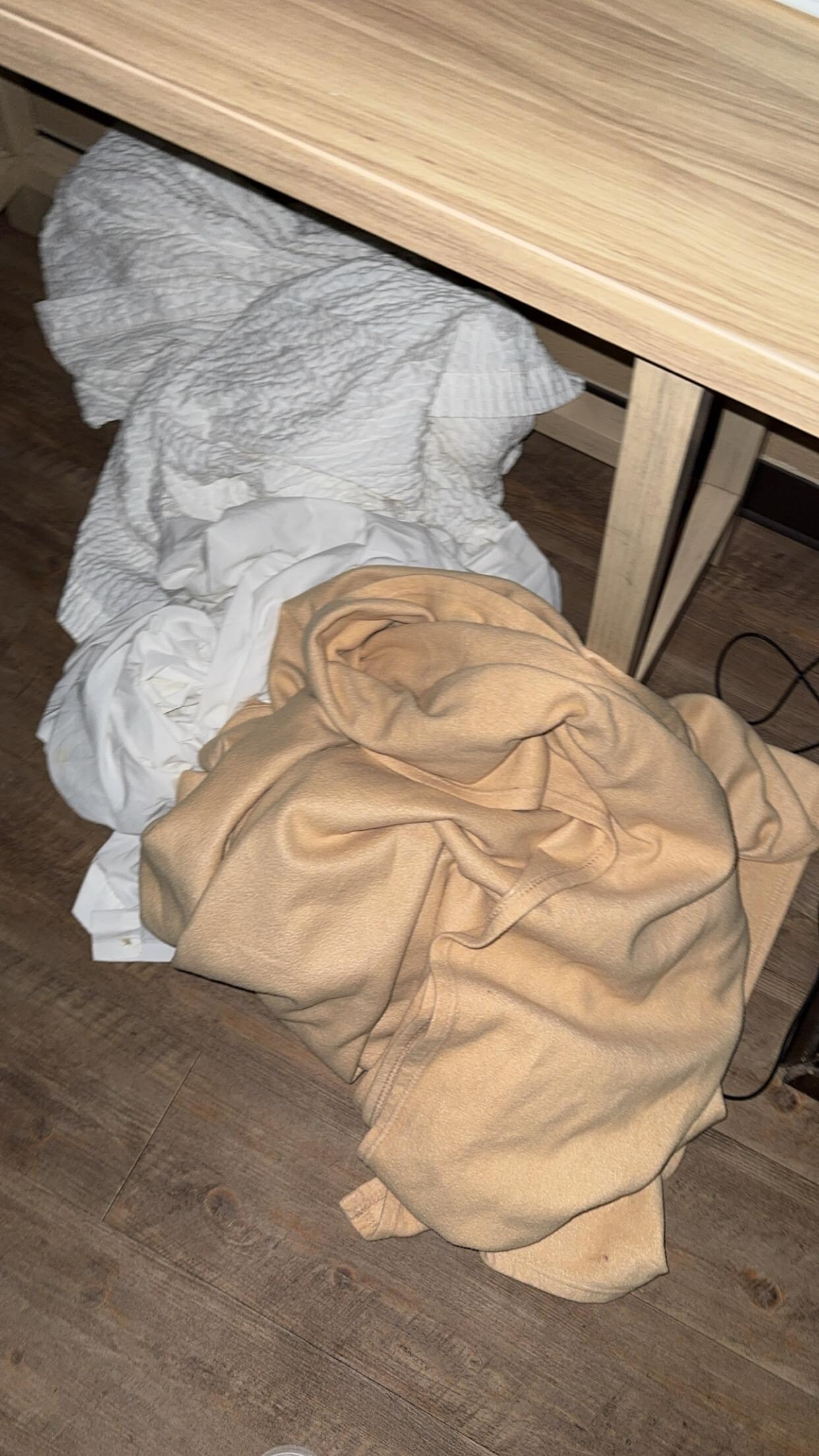 Dirty sheets I threw on the floor